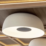 Modern Nordic Ceiling Lamp with LED Light