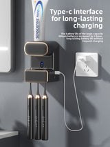 Electric toothbrush sanitizer